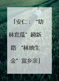 安仁：“幼林套瓜”趟新路 “林地生金”富乡亲