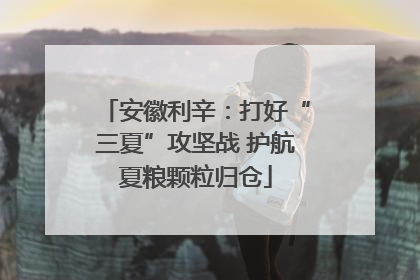 安徽利辛：打好“三夏”攻坚战 护航夏粮颗粒归仓