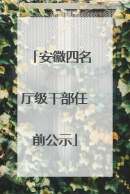安徽四名厅级干部任前公示