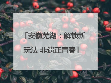 安徽芜湖：解锁新玩法 非遗正青春