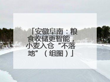 安徽阜南：粮食收储更智能，小麦入仓“不落地”（组图）