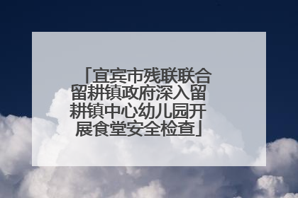 宜宾市残联联合留耕镇政府深入留耕镇中心幼儿园开展食堂安全检查