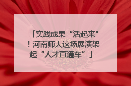 实践成果“活起来”！河南师大这场展演架起“人才直通车”