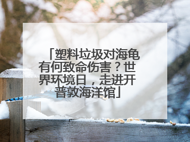 塑料垃圾对海龟有何致命伤害？世界环境日，走进开普敦海洋馆