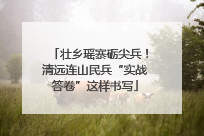 壮乡瑶寨砺尖兵！清远连山民兵“实战答卷”这样书写