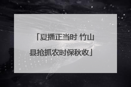 夏播正当时 竹山县抢抓农时保秋收