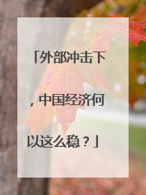 外部冲击下，中国经济何以这么稳？