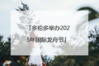 多伦多举办2025年国际龙舟节