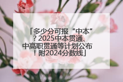 多少分可报“中本”？2025中本贯通、中高职贯通等计划公布！附2024分数线