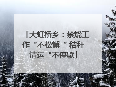 大虹桥乡：禁烧工作“不松懈“ 秸秆清运“不停歇