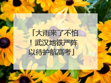 大雨来了不怕！武汉地铁严阵以待护航高考
