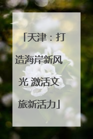 天津：打造海岸新风光 激活文旅新活力
