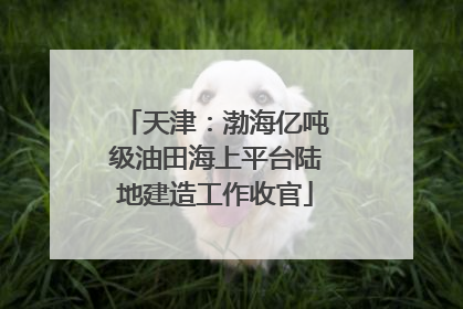 天津：渤海亿吨级油田海上平台陆地建造工作收官