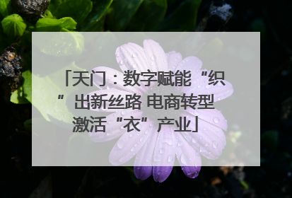 天门：数字赋能“织”出新丝路 电商转型激活“衣”产业