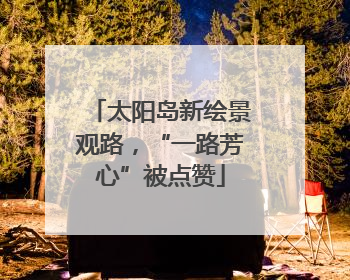 太阳岛新绘景观路，“一路芳心”被点赞