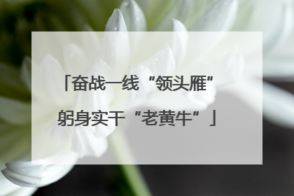 奋战一线“领头雁” 躬身实干“老黄牛”