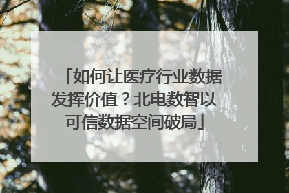 如何让医疗行业数据发挥价值？北电数智以可信数据空间破局