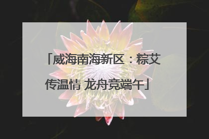 威海南海新区：粽艾传温情 龙舟竞端午
