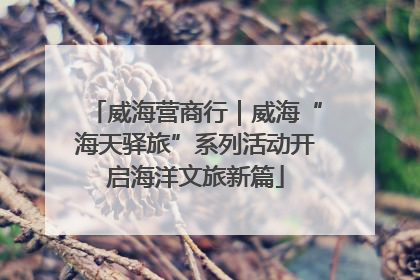 威海营商行｜威海“海天驿旅”系列活动开启海洋文旅新篇
