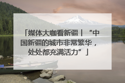 媒体大咖看新疆丨“中国新疆的城市非常繁华，处处都充满活力”