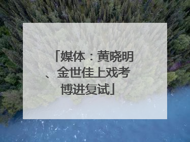 媒体：黄晓明、金世佳上戏考博进复试
