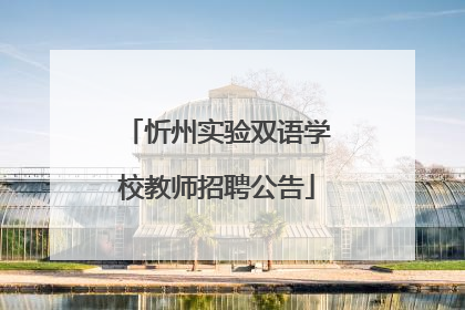 忻州实验双语学校教师招聘公告