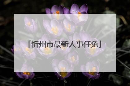 忻州市最新人事任免