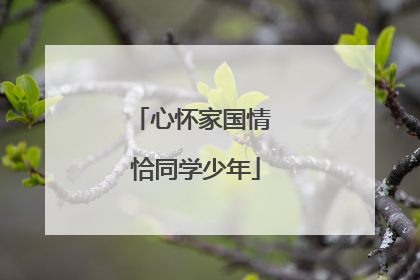心怀家国情 恰同学少年