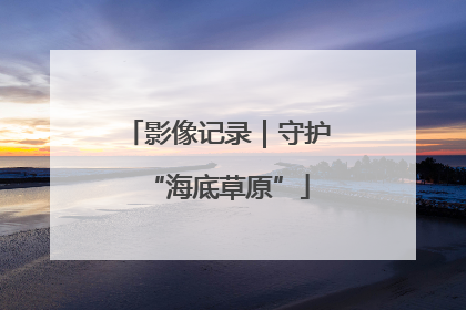 影像记录｜守护“海底草原”