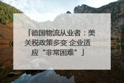 德国物流从业者：美关税政策多变 企业适应“非常困难”