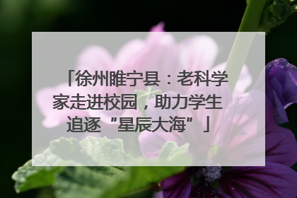 徐州睢宁县：老科学家走进校园，助力学生追逐“星辰大海”