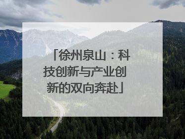 徐州泉山：科技创新与产业创新的双向奔赴