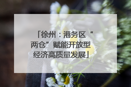 徐州：港务区“两仓”赋能开放型经济高质量发展