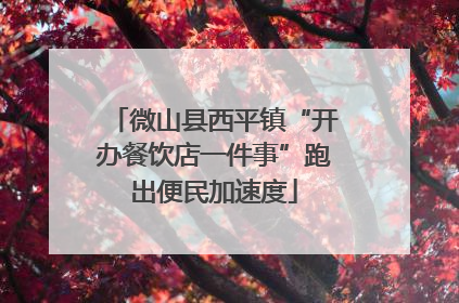 微山县西平镇“开办餐饮店一件事”跑出便民加速度