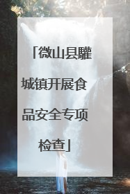 微山县驩城镇开展食品安全专项检查