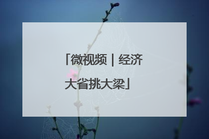 微视频｜经济大省挑大梁
