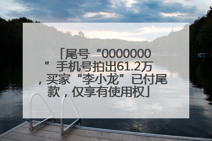 尾号“0000000”手机号拍出61.2万，买家“李小龙”已付尾款，仅享有使用权