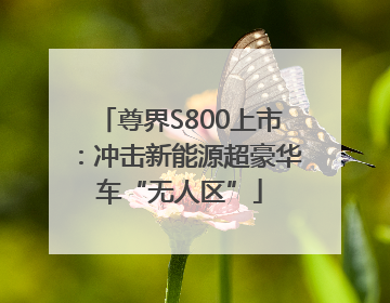 尊界S800上市：冲击新能源超豪华车“无人区”