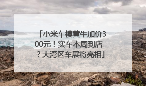 小米车模黄牛加价300元！实车本周到店？大湾区车展将亮相