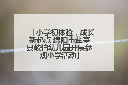 小学初体验，成长新起点 绵阳市盐亭县岐伯幼儿园开展参观小学活动
