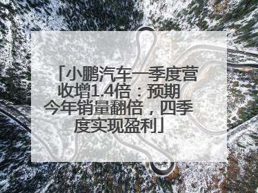 小鹏汽车一季度营收增1.4倍：预期今年销量翻倍，四季度实现盈利