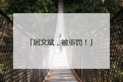 屠文斌，被重罚！