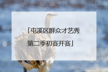 屯溪区群众才艺秀第二季初赛开赛