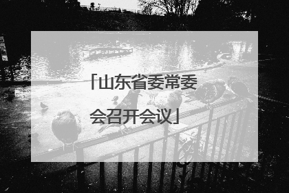 山东省委常委会召开会议