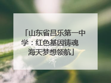 山东省昌乐第一中学：红色基因铸魂 海天梦想领航