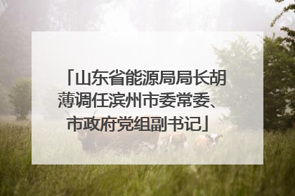 山东省能源局局长胡薄调任滨州市委常委、市政府党组副书记