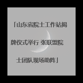 山东省院士工作站揭牌仪式举行 张联盟院士团队现场助阵