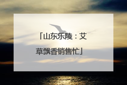 山东乐陵：艾草飘香销售忙