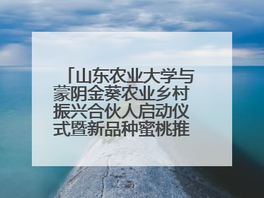 山东农业大学与蒙阴金葵农业乡村振兴合伙人启动仪式暨新品种蜜桃推介活动举行
