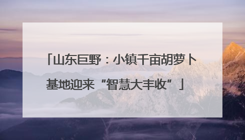 山东巨野：小镇千亩胡萝卜基地迎来“智慧大丰收”